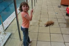 Thats my doggie