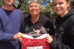 Our baby possum